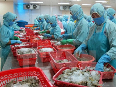 Vietnam targets 10 billion USD in shrimp exports by 2025 - ảnh 1